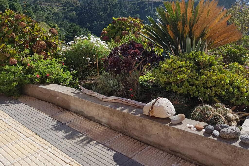 Raposeira de São João, the feeling of peace, space&quiet, Whole villa is yours Fajã da Ovelha Exterior foto