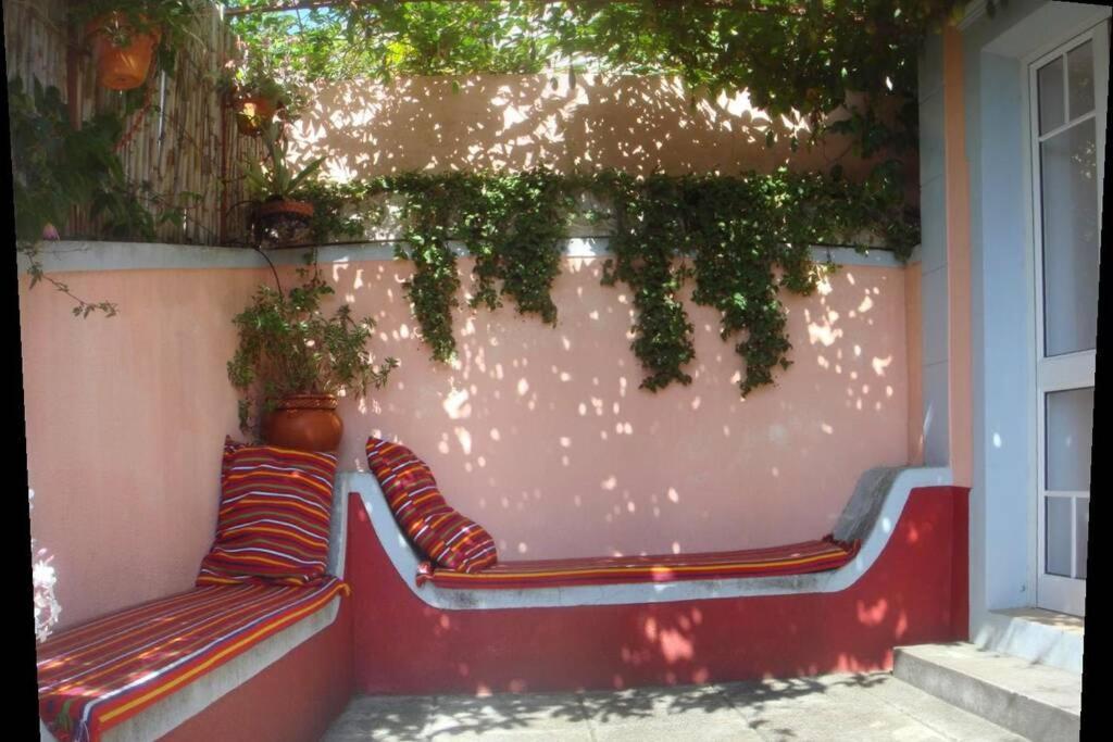 Raposeira de São João, the feeling of peace, space&quiet, Whole villa is yours Fajã da Ovelha Exterior foto